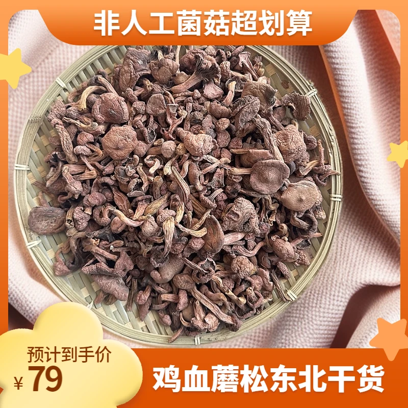 东北红蘑松树伞肉蘑鸡血蘑干货小鸡炖蘑菇松蘑