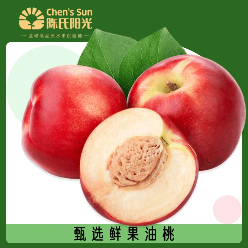 陈氏阳光进口智利油桃5斤新鲜采摘