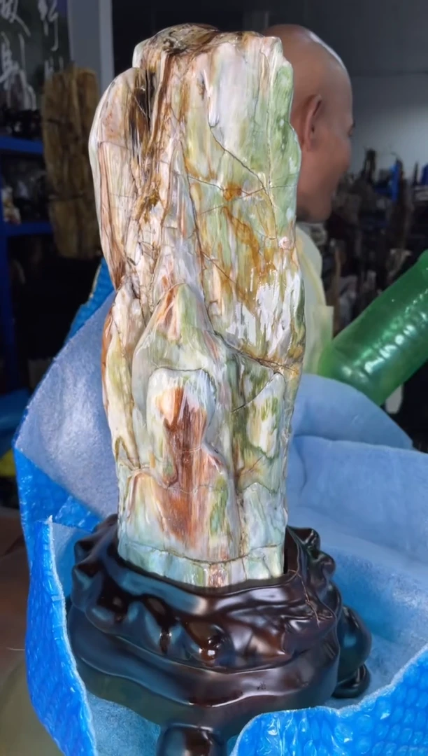 未镶嵌摆件硅化玉54