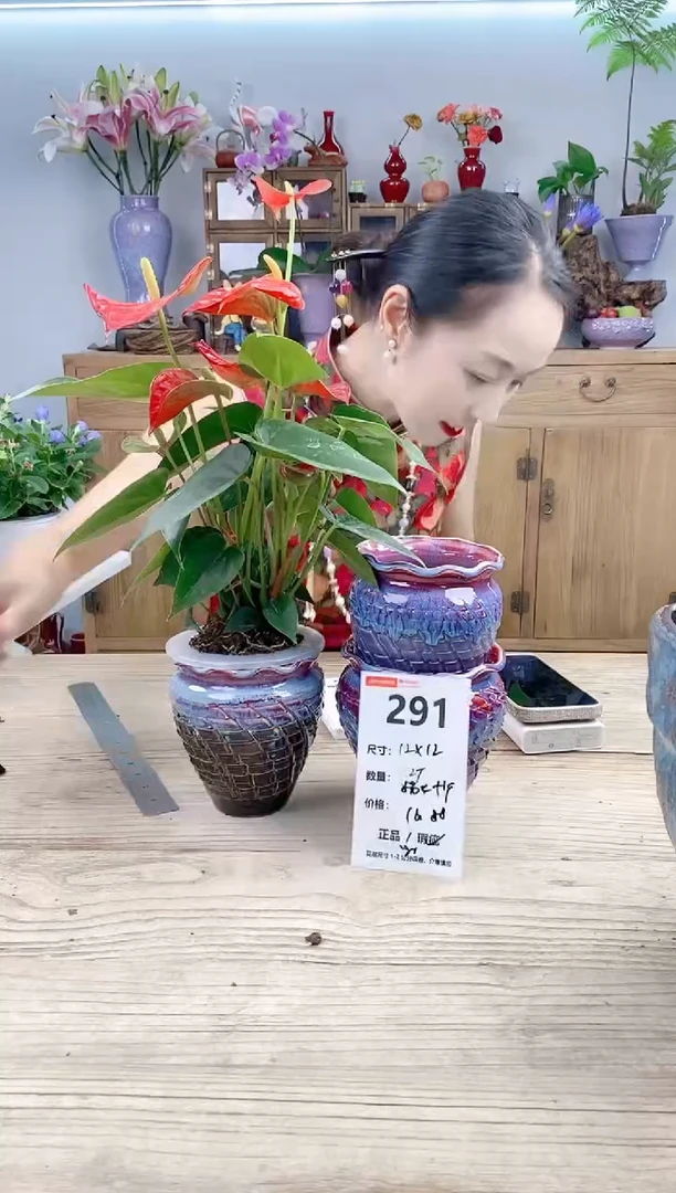 小玩子花盆直播号291