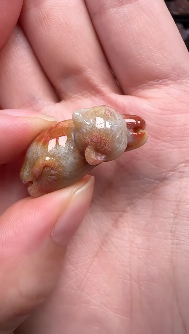 颈饰未镶嵌硅化珊瑚（珊瑚玉）214