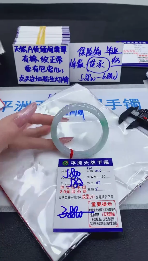 未镶嵌手镯翡翠1111111