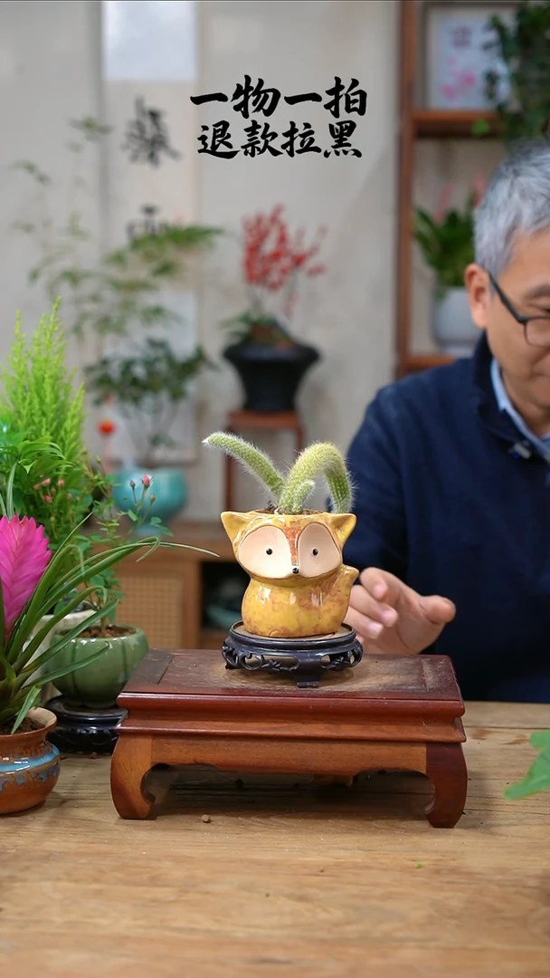 完全开放玉**?九尾狐006