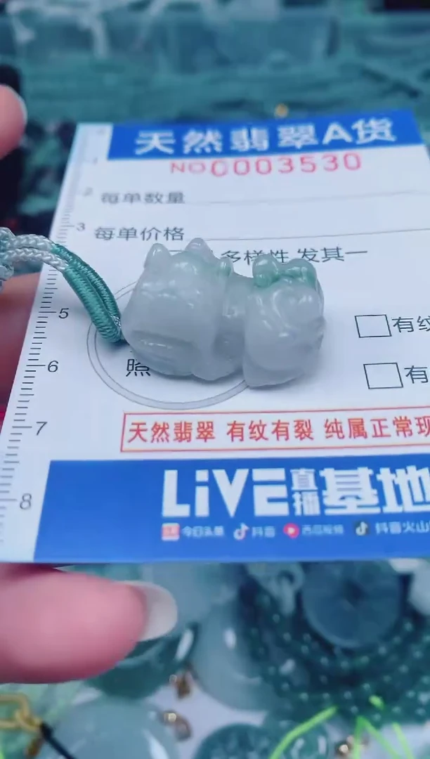 颈饰未镶嵌翡翠00003530