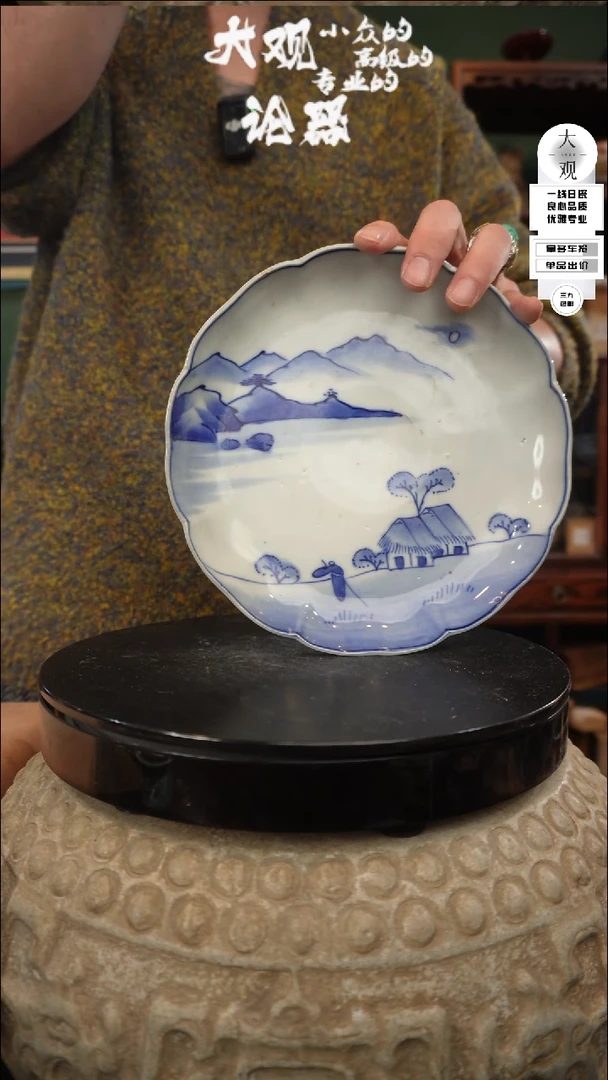 【闪购商品】瓷片大观论器盘子