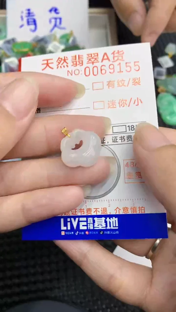 【闪购商品】翡翠颈饰18K金镶嵌            8