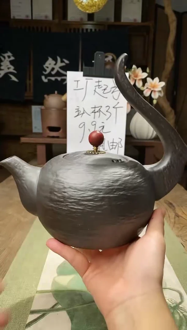 侧把提梁肌理纹煮水壶