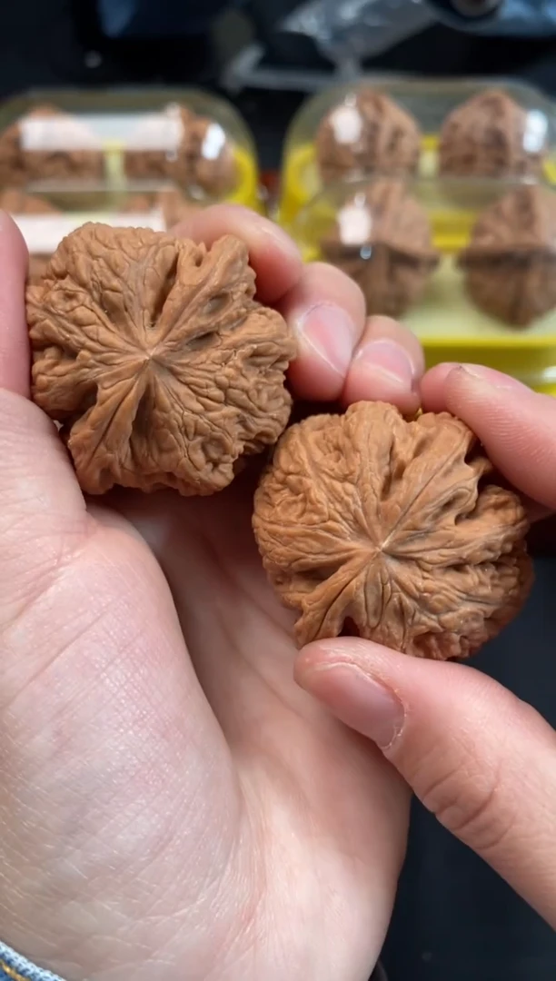 把件文玩核桃大粗筋40尺A260