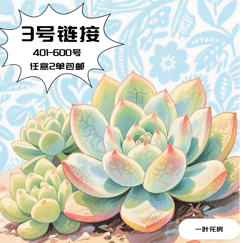 杠精3号链接401-600直播间多肉一物一拍2单包邮9月6日