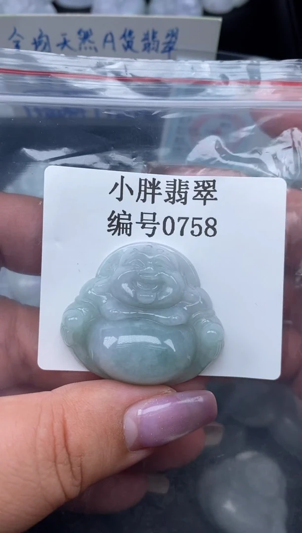 翡翠未镶嵌颈饰缅甸天然A货翡翠0758