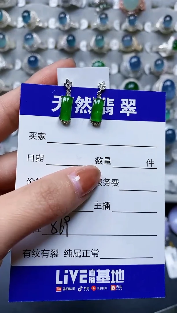 【闪购商品】翡翠耳饰银S925镶嵌0869