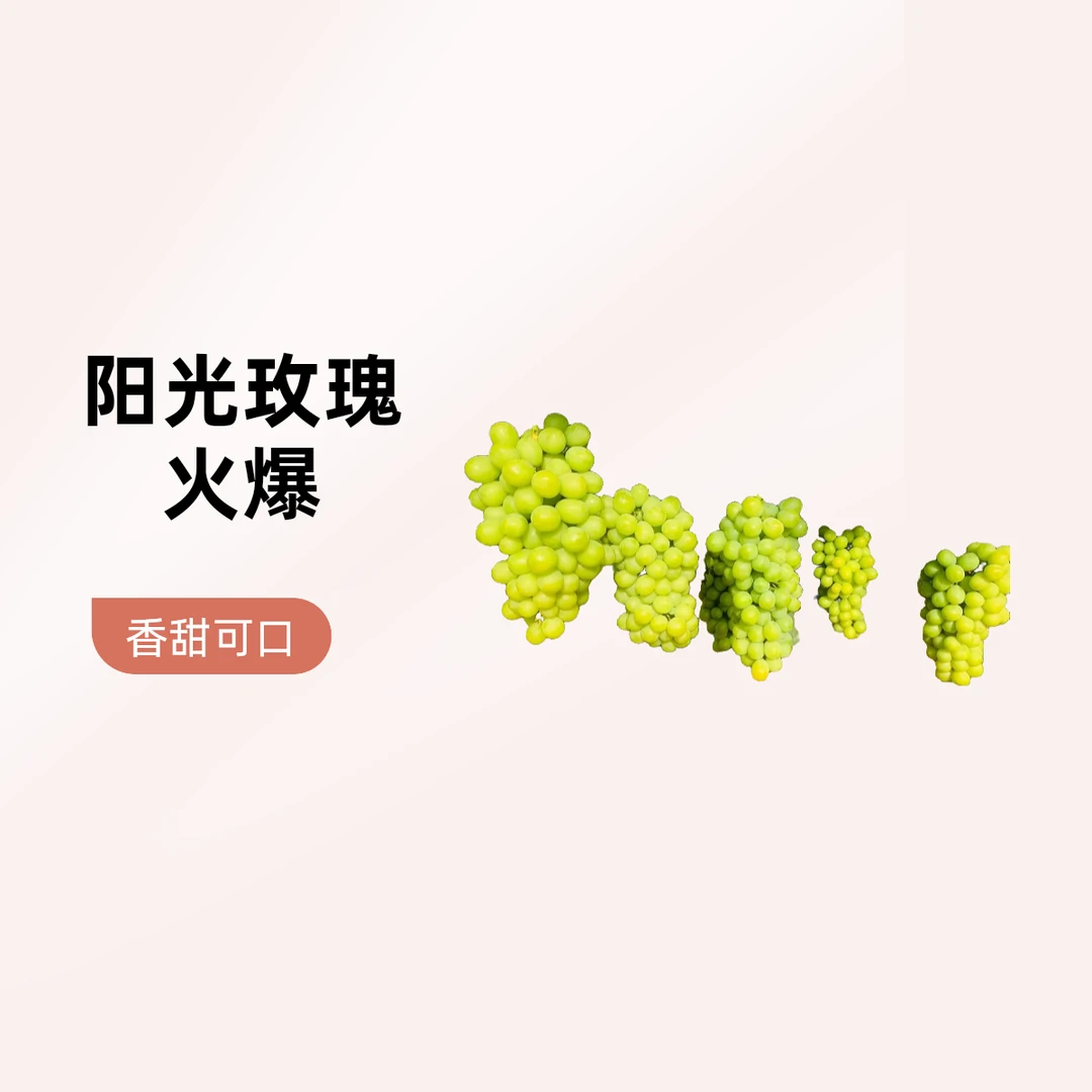 【拉萨同城配送】阳光玫瑰葡萄一串约1.5到2斤西藏自治区云南省