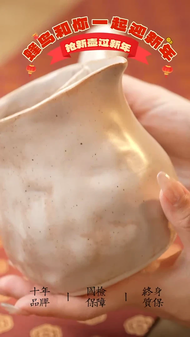 【闪购商品】侧把陶壶煮壶侧把