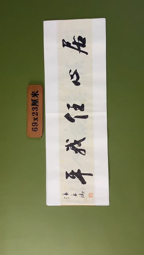 书法书法 张若鸿 尺寸69cm*23cm