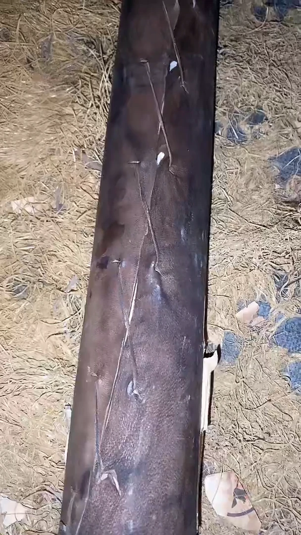 摆件一个【绍文甄选】 皮桶
