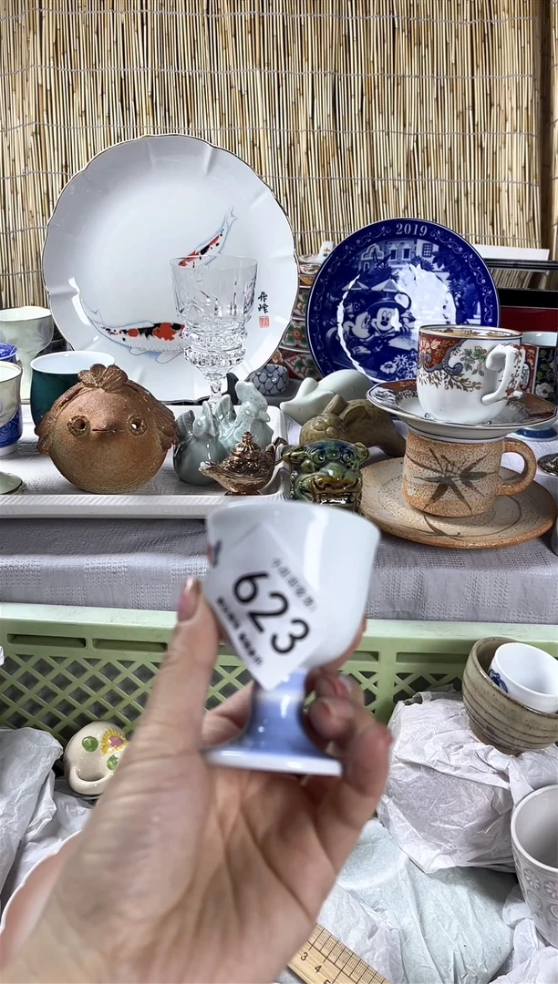 【闪购商品】碟               623