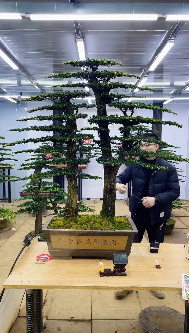 【闪购商品】000000000