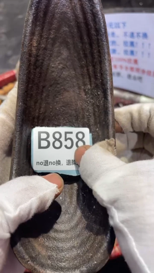 瓷片瓷片瓷片瓷片瓷片