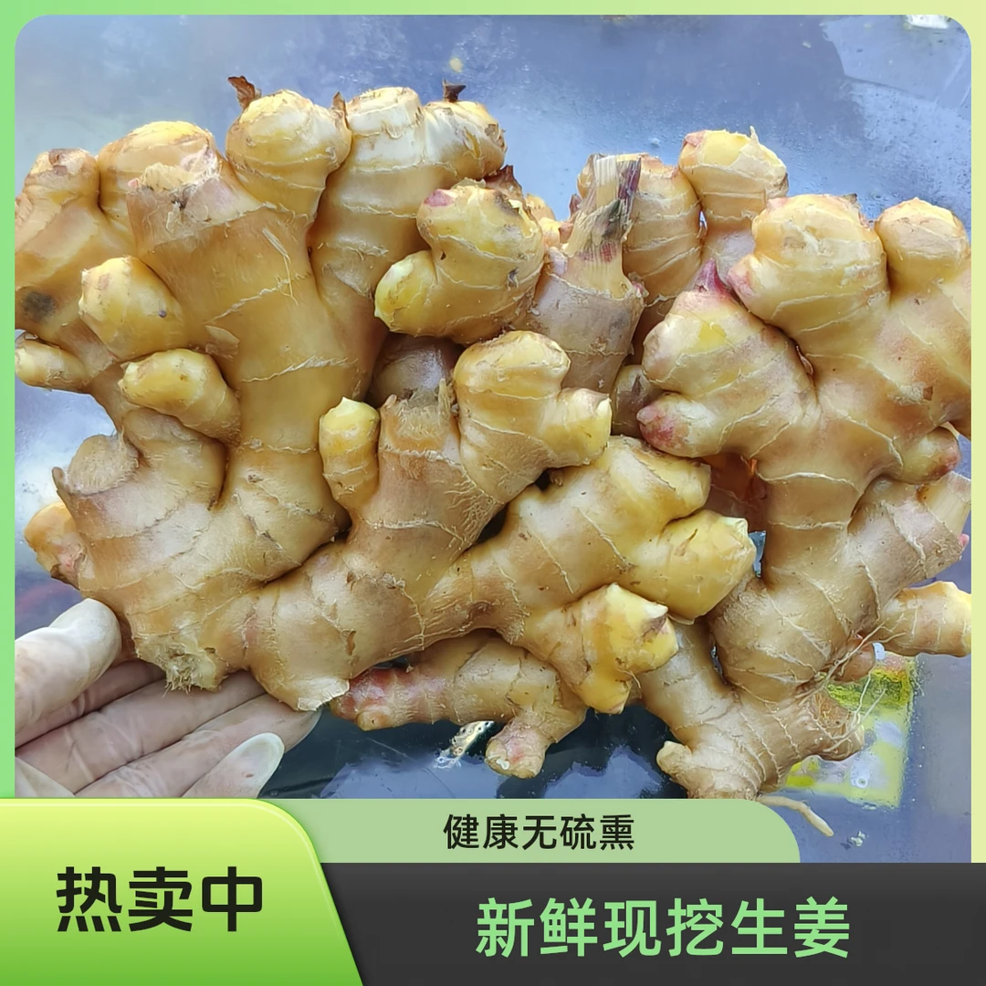 云南小黄姜老姜价格实惠农家种植