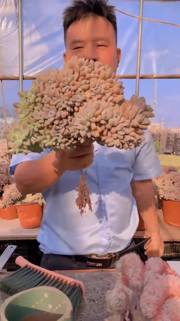 【闪购商品】缀化173