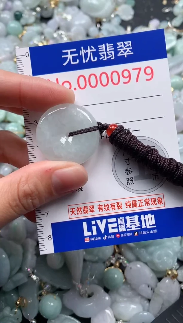 颈饰未镶嵌翡翠979