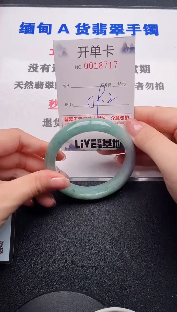 未镶嵌手镯翡翠17