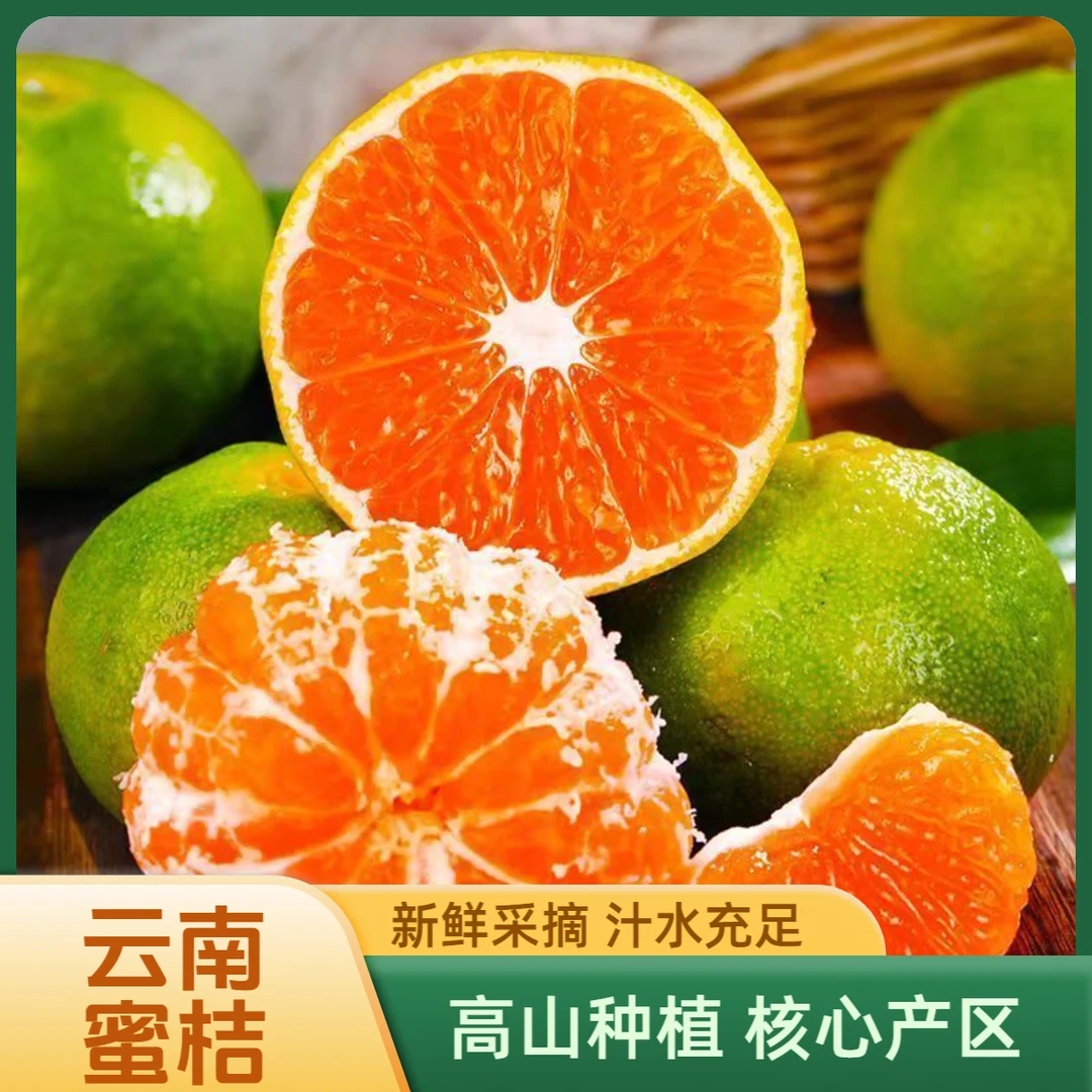 【云南文山无籽蜜桔】皮薄多汁酸甜可口青皮桔子时令新鲜水果