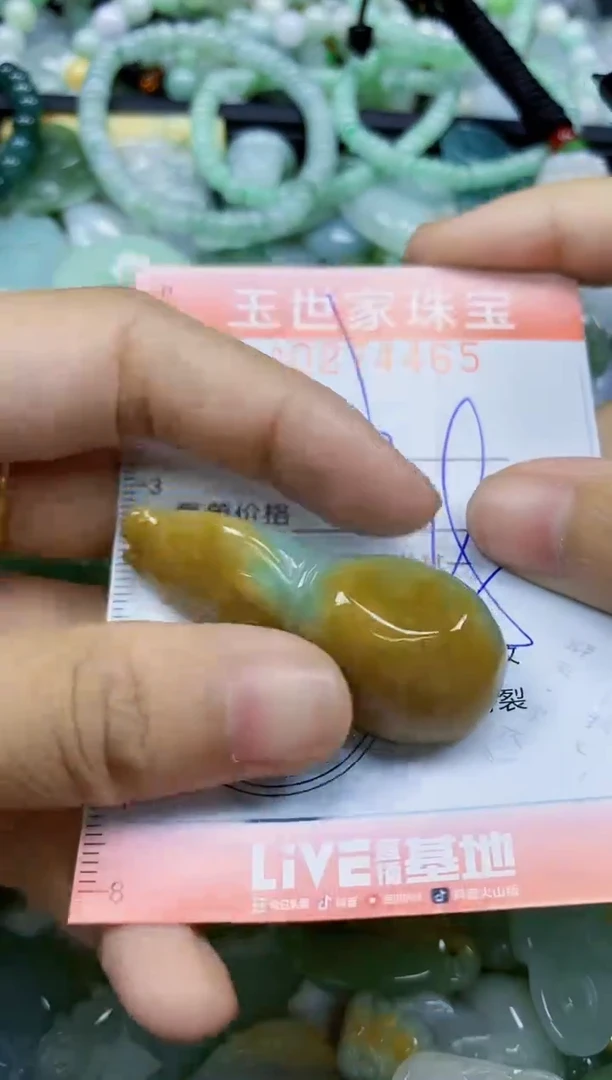 翡翠未镶嵌颈饰闪购0274465