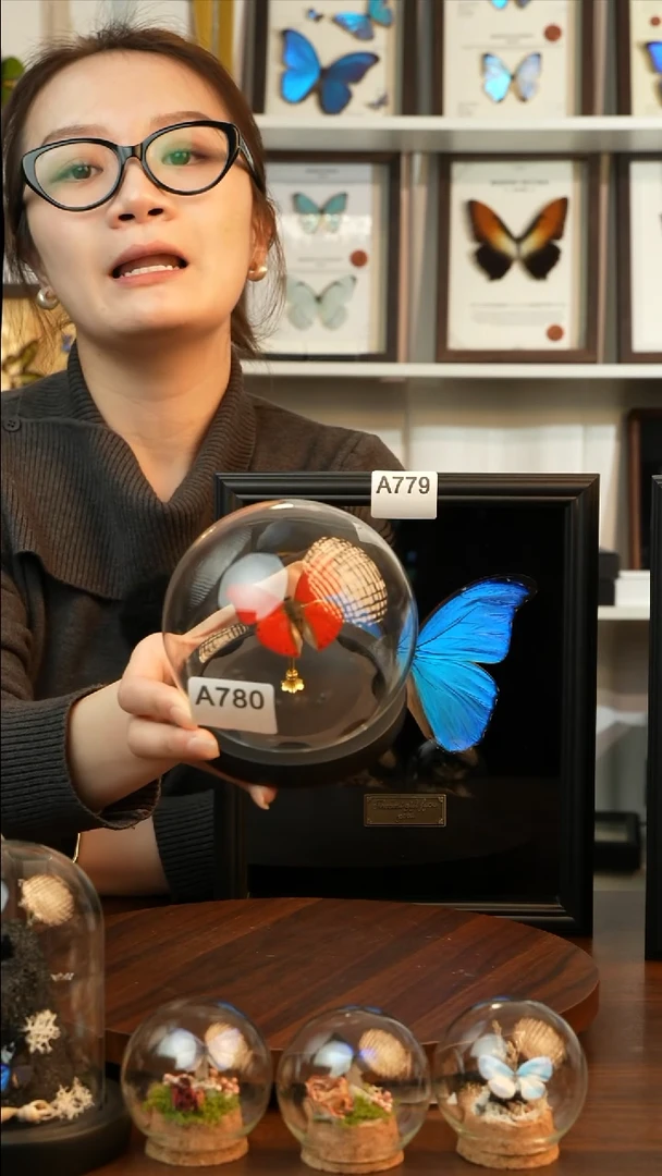 血漪蛱蝶小号玻璃球款A780