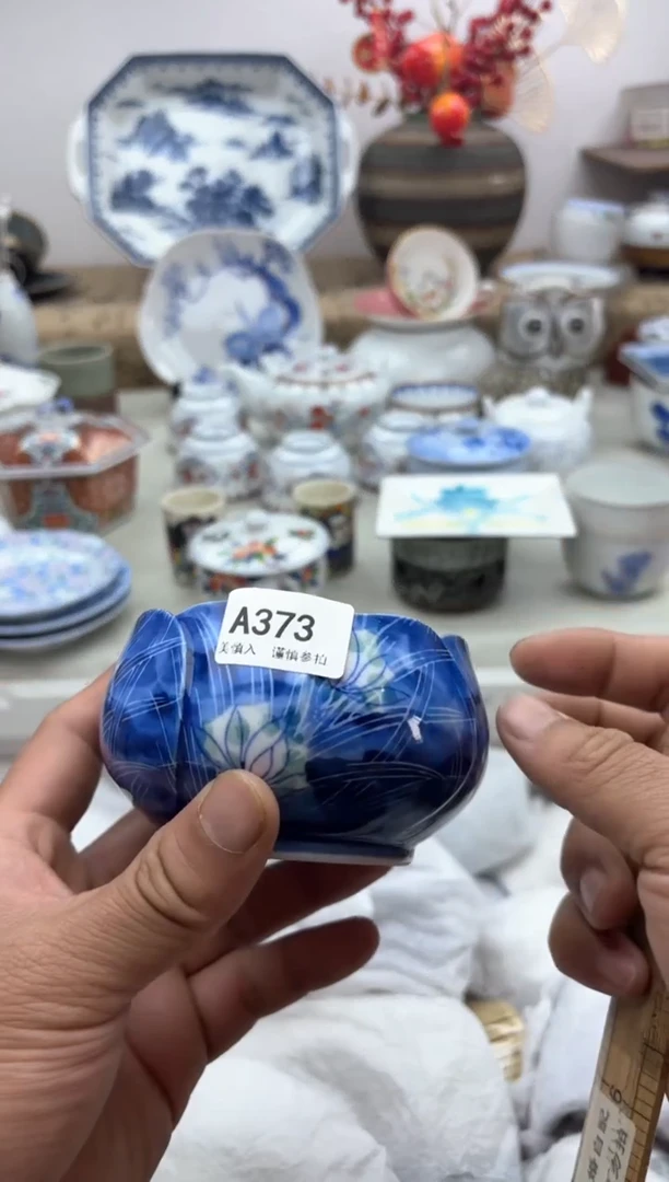 【闪购商品】碟A373...........