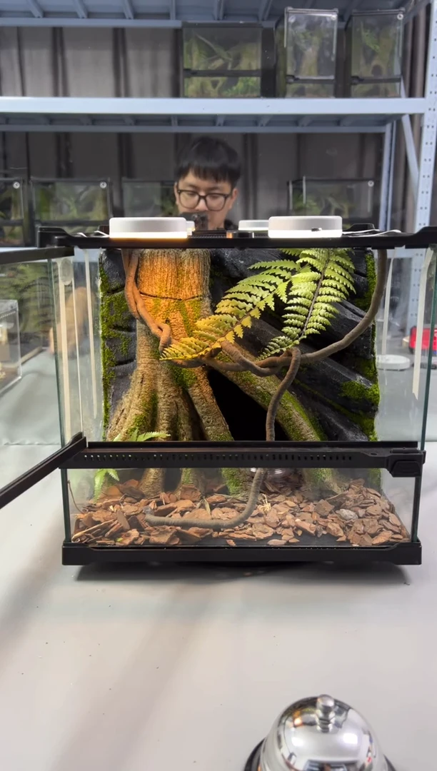 玻璃【长30宽25高27】爬宠造景缸睫角守宫树栖蜘蛛饲养箱爬宠爬虫缸
