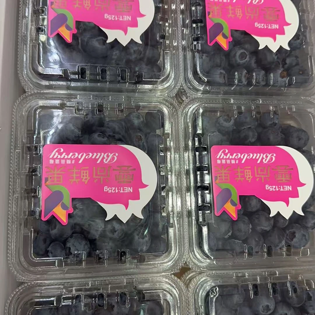 【耒阳闪送】云南蓝莓整件（怡颗莓）新鲜脆甜12盒*125G特大果17MM优瑞卡云南省丽水市