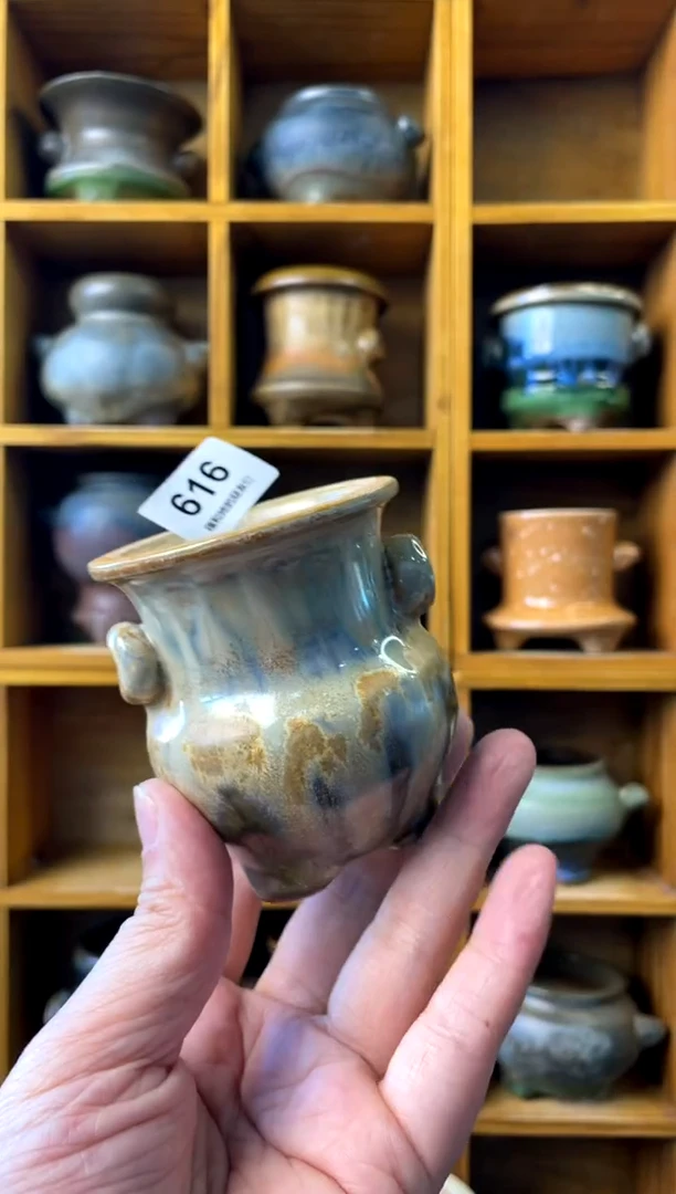 【闪购商品】陶616