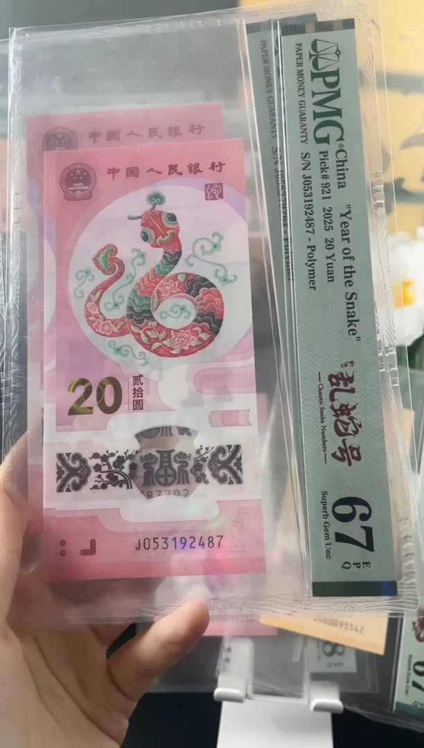 塑料蛇钞乱蛇号67分