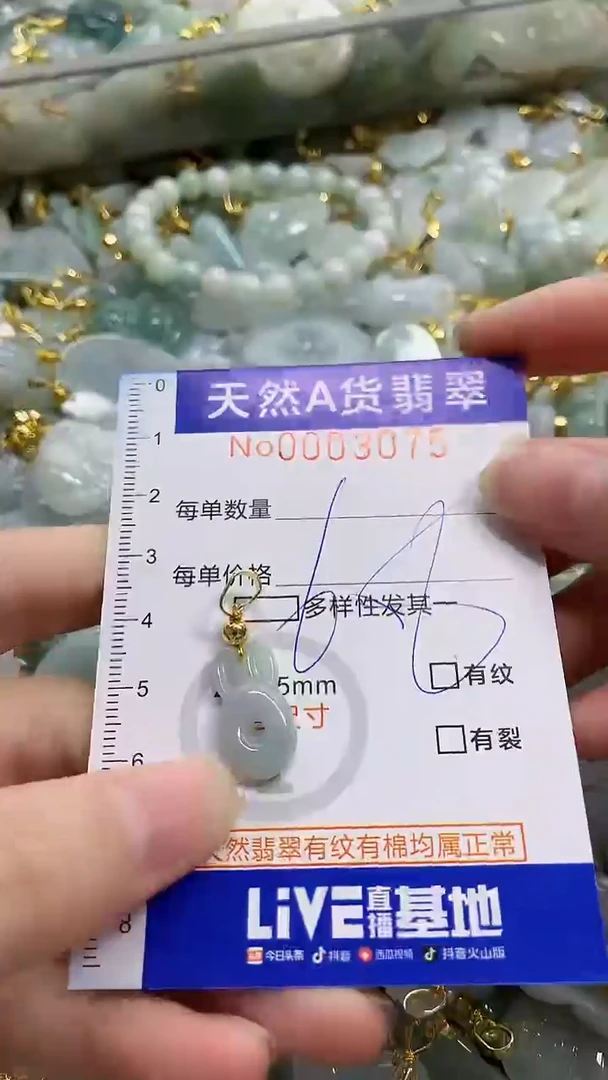 颈饰未镶嵌翡翠天然A货翡翠