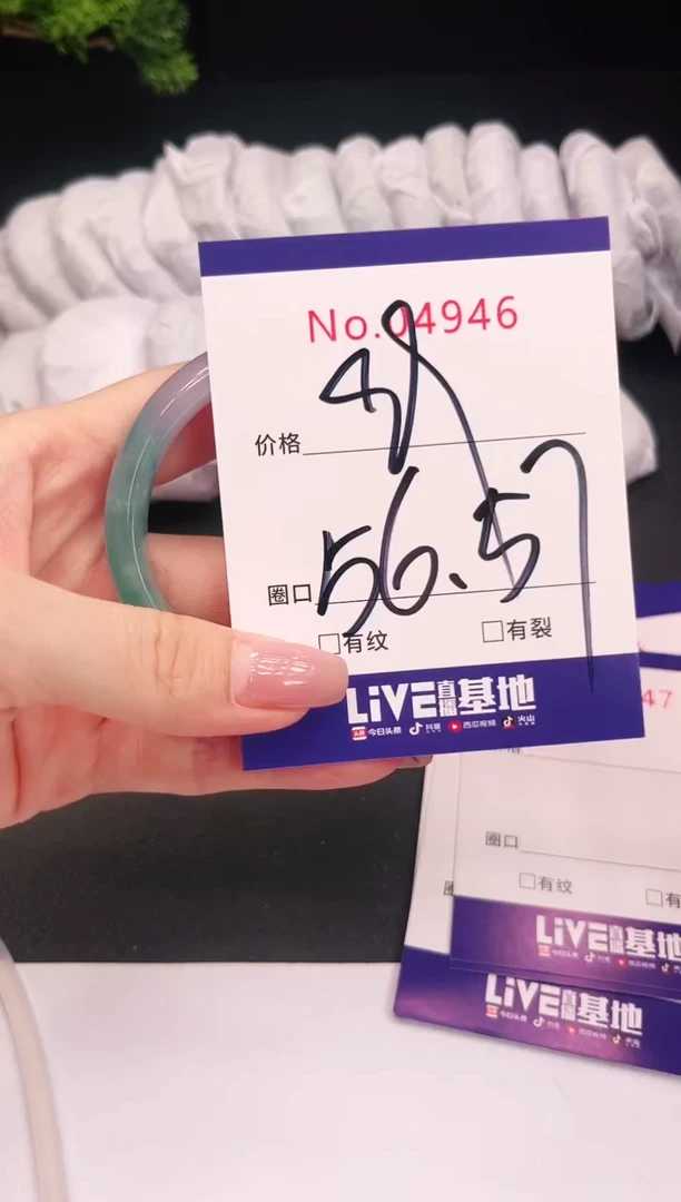 未镶嵌手镯翡翠4946