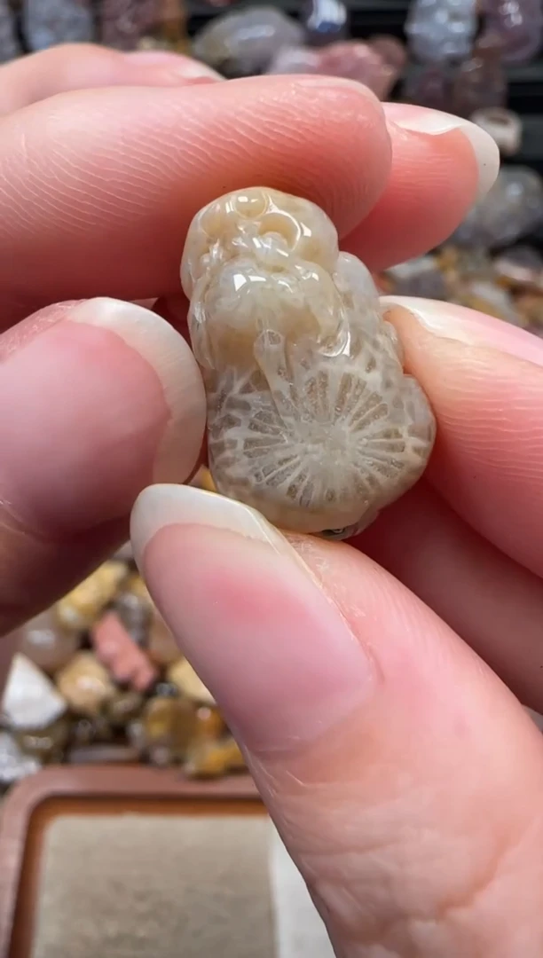 颈饰未镶嵌硅化珊瑚（珊瑚玉）520