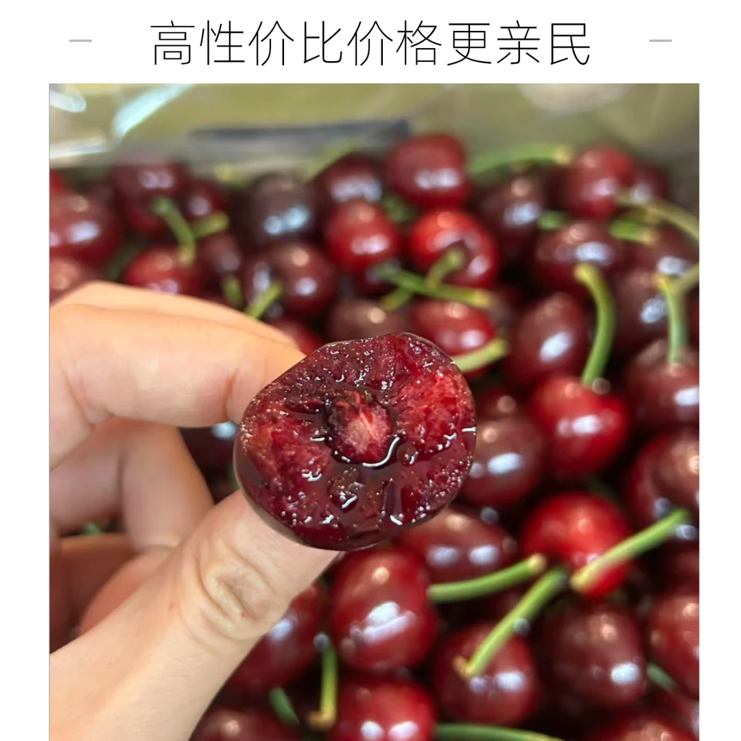 3J级车厘子5斤装海运桑提娜桑提娜智利