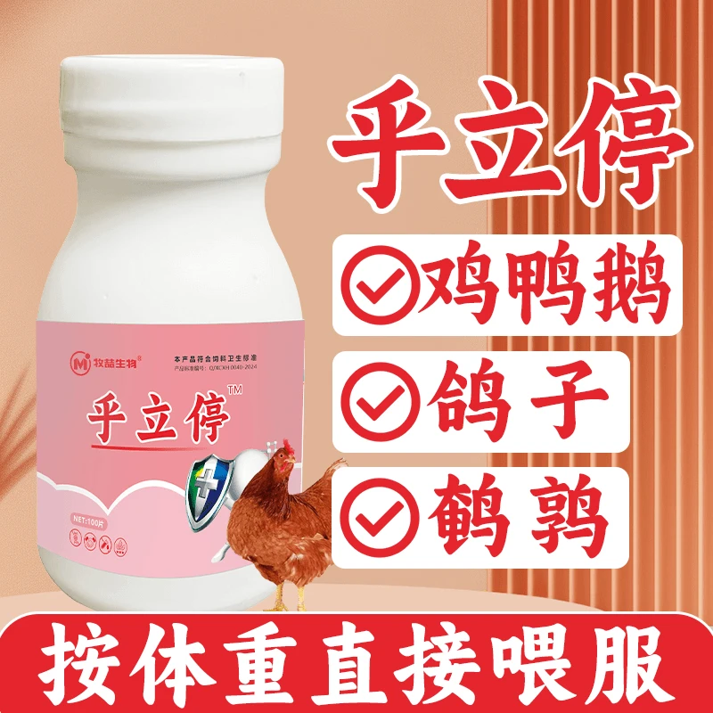 牧喆乎立亭鸡鸭鹅鸽子鹌鹑家禽农村散养家禽养殖