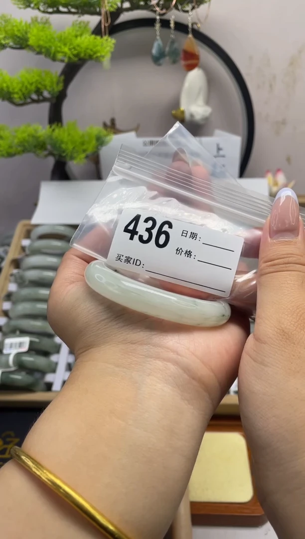 石英质玉（天山翠）手镯未镶嵌436