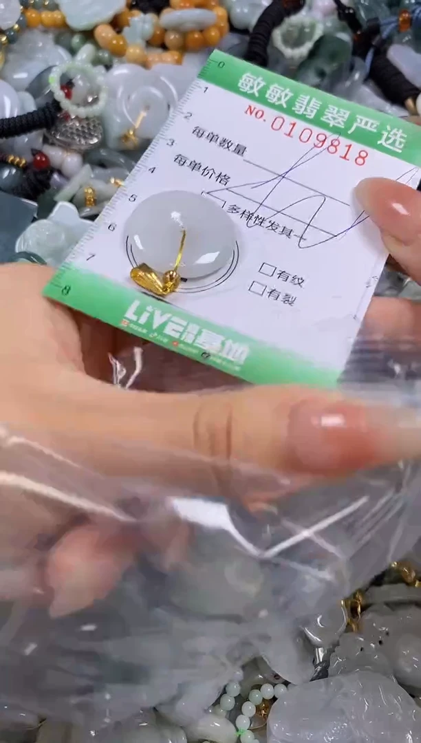【闪购商品】翡翠颈饰未镶嵌闪购0109818多样性发其一