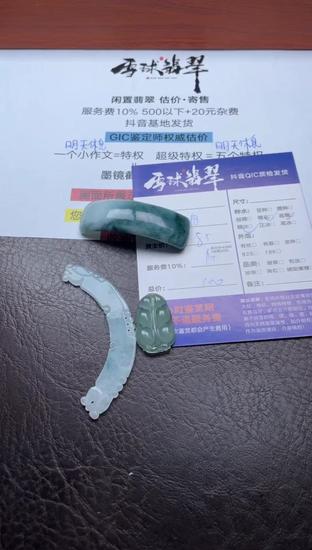 颈饰未镶嵌翡翠20081122010