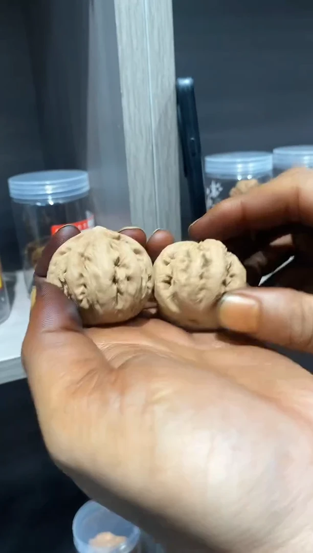 文玩核桃把件全品霸王龙43左右