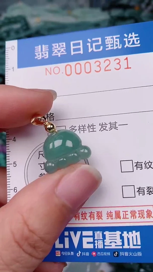 【闪购商品】翡翠颈饰未镶嵌00003231