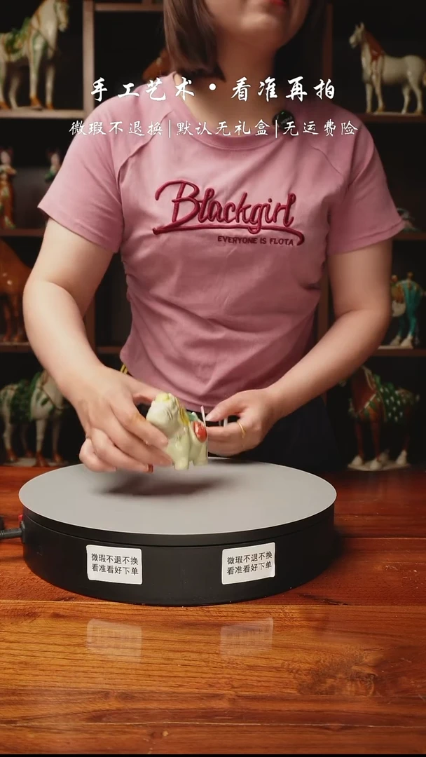 241 肥豆豆马
