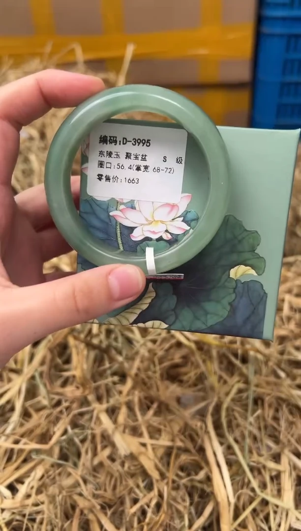 未镶嵌手镯石英质玉D-3995