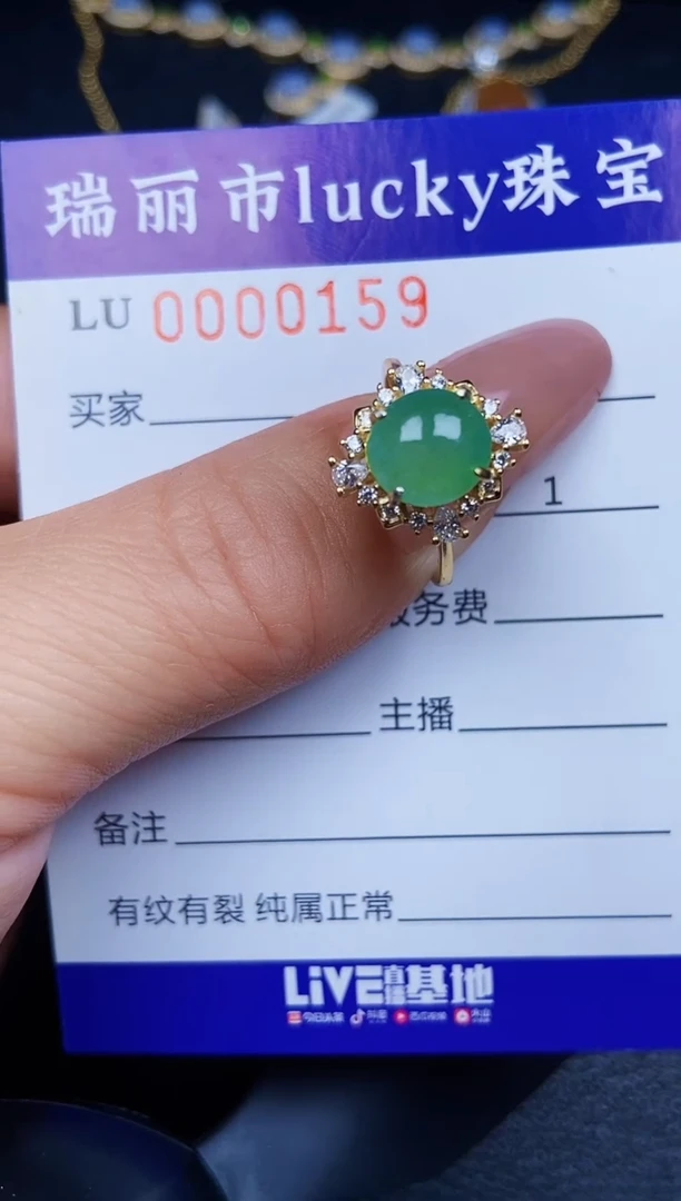 翡翠银S925镶嵌颈饰0159