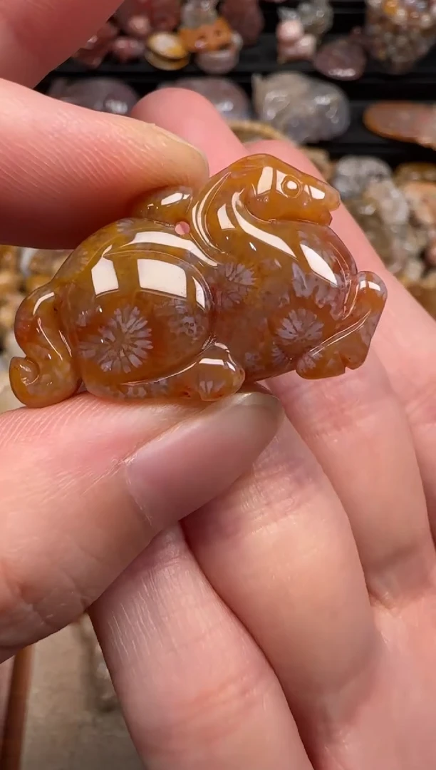 硅化珊瑚（珊瑚玉）未镶嵌颈饰210