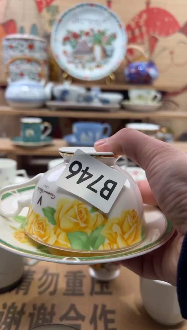 瓷片J*S瓷片------B746