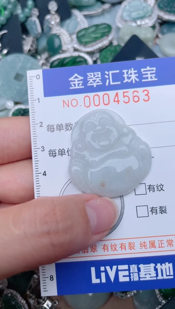 翡翠未镶嵌颈饰4563........1